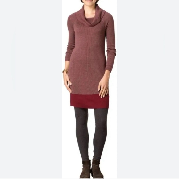 Toad&Co Dresses & Skirts - Toad&Co 100% Merino Wool Uptown Sweater Dress